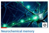 Neurochimical memory